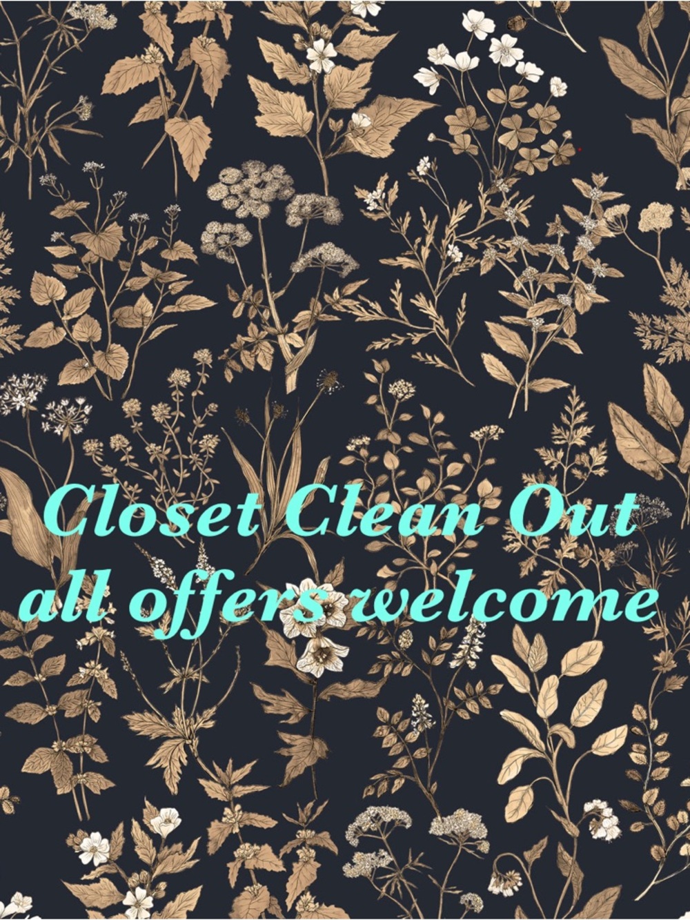 CLOSET CLEAN OUT